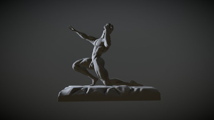 Anatomy Study - Human Male 3D Model