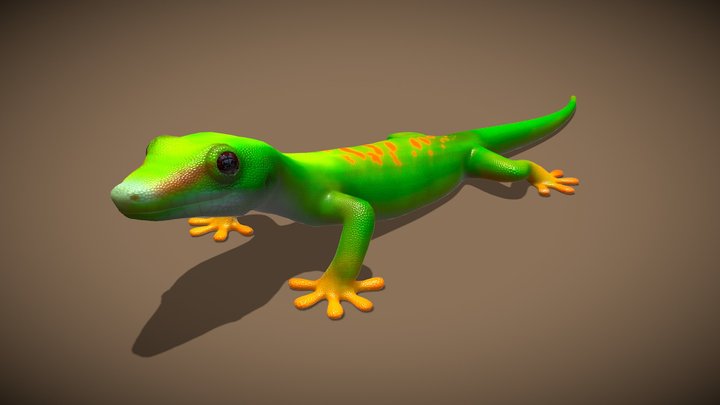 Animated green gecko 3D Model