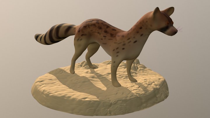 Geneta 3D Model