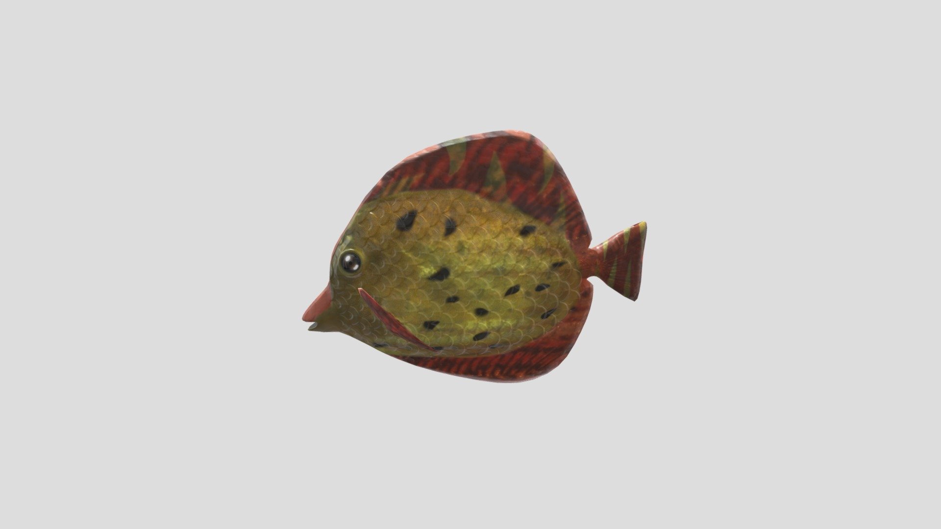 Slightly gold fishy