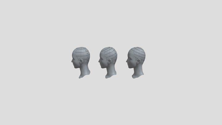 BOFS ACADEMY : 04. Combing 종류 3D Model