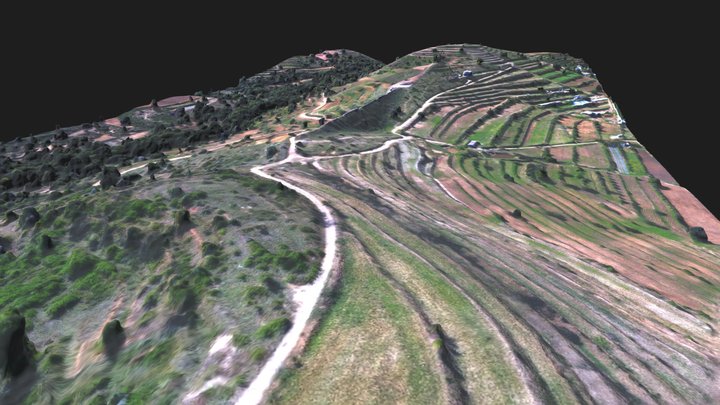 CAÑO QUEBRADO 3D Model