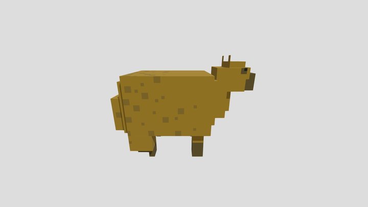 Capybara
