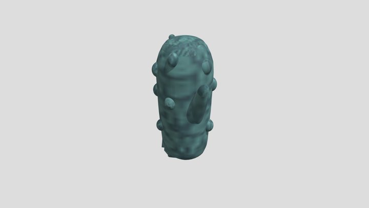 pante_2 3D Model