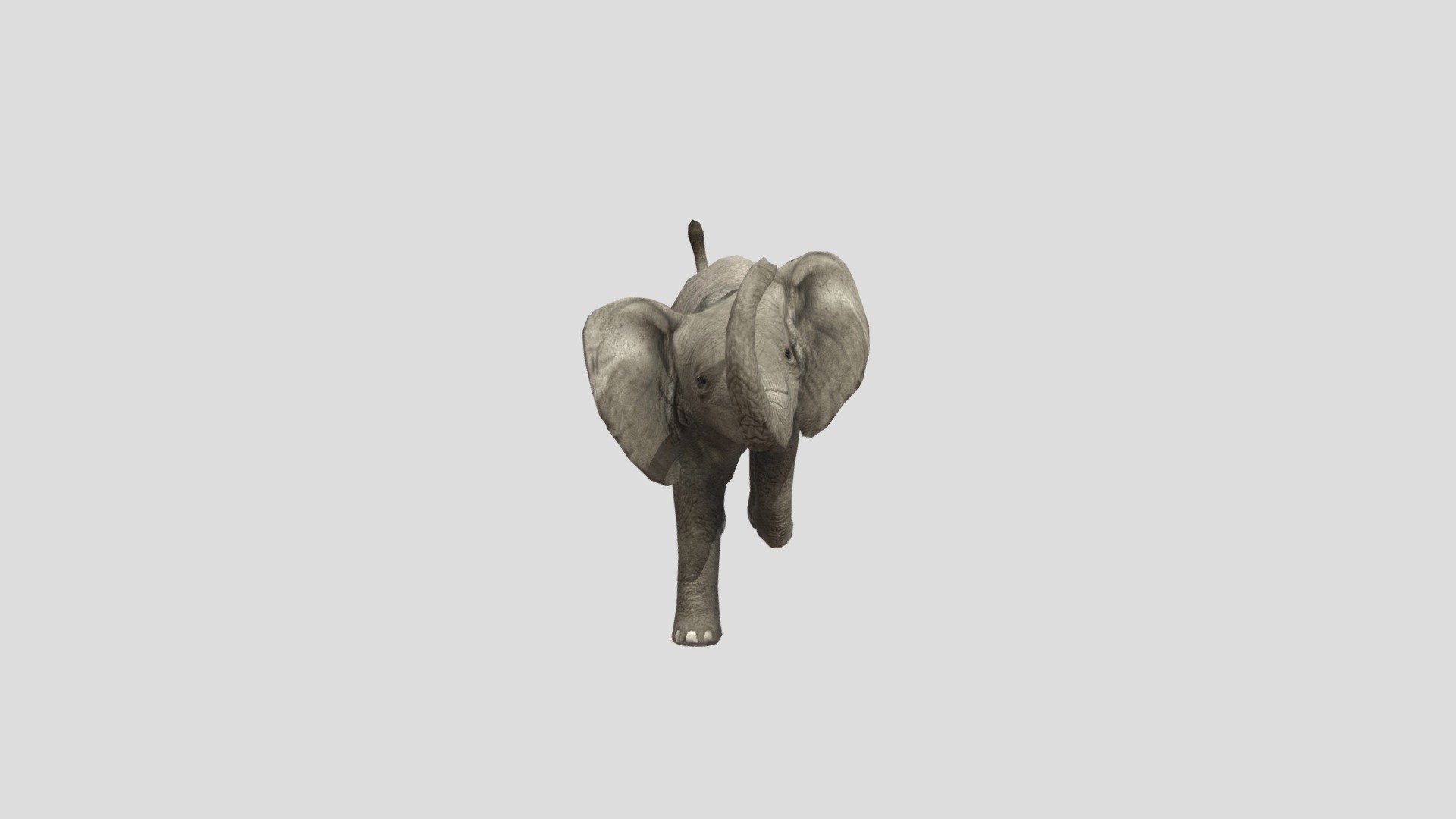 Baby- Elephant