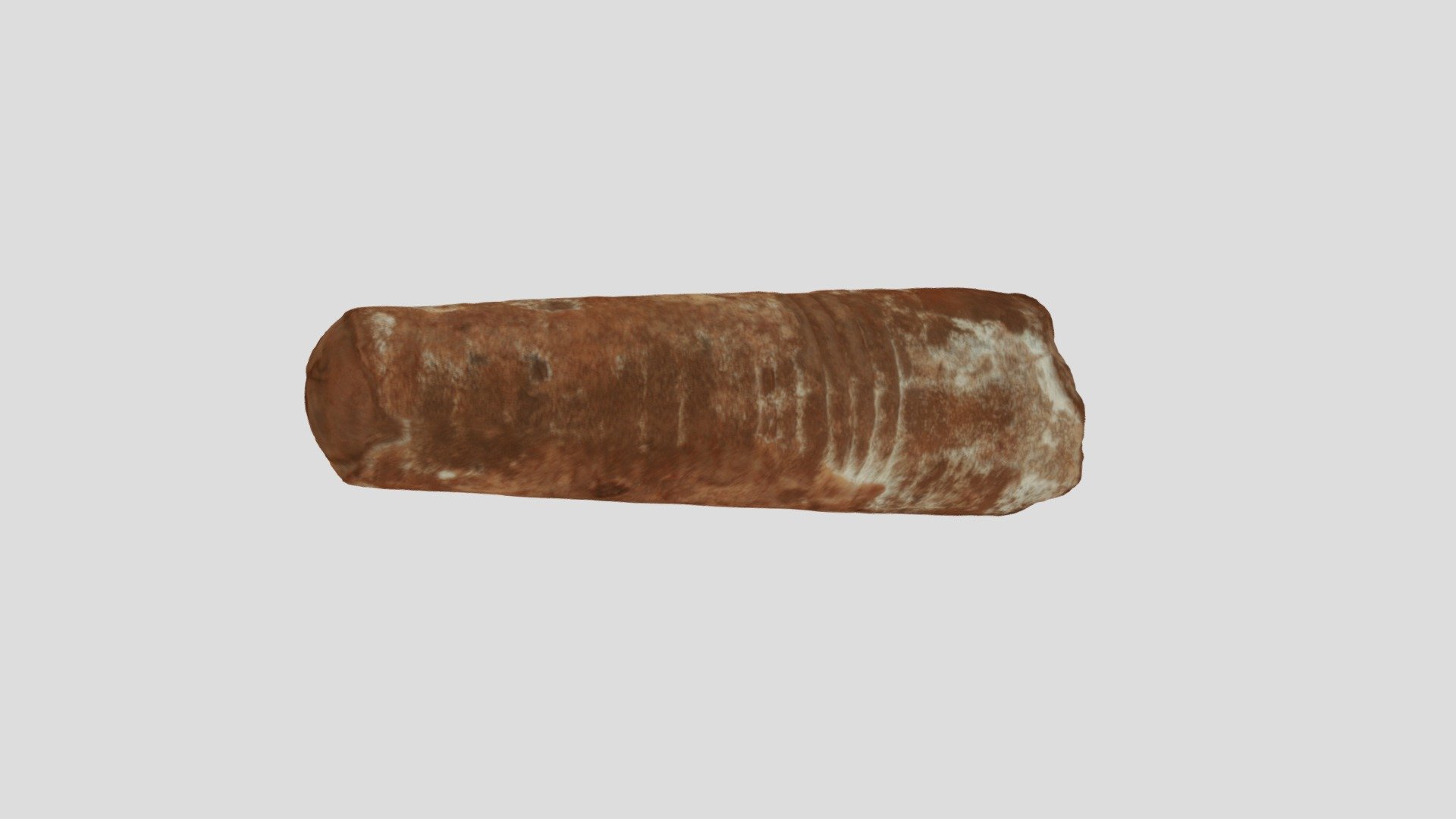 Dolothoceras sp.