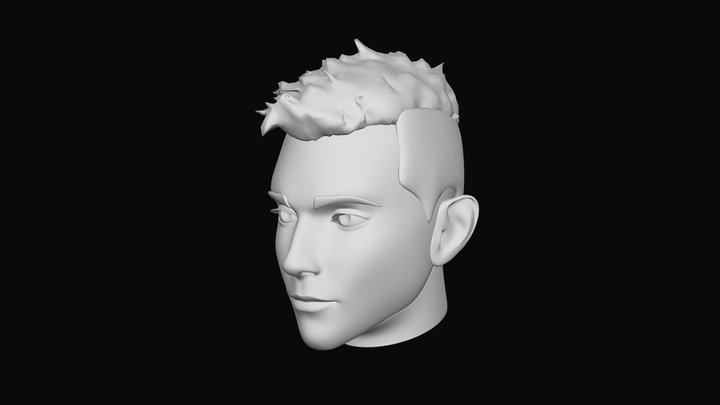 Man head - Vasya 3D Model