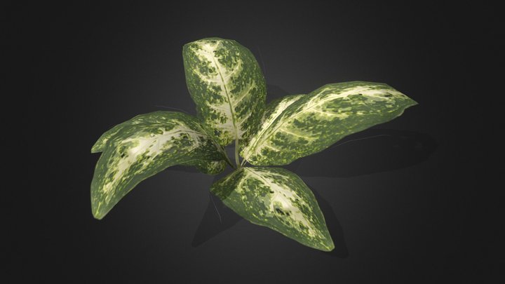 Tropical plant 2 3D Model
