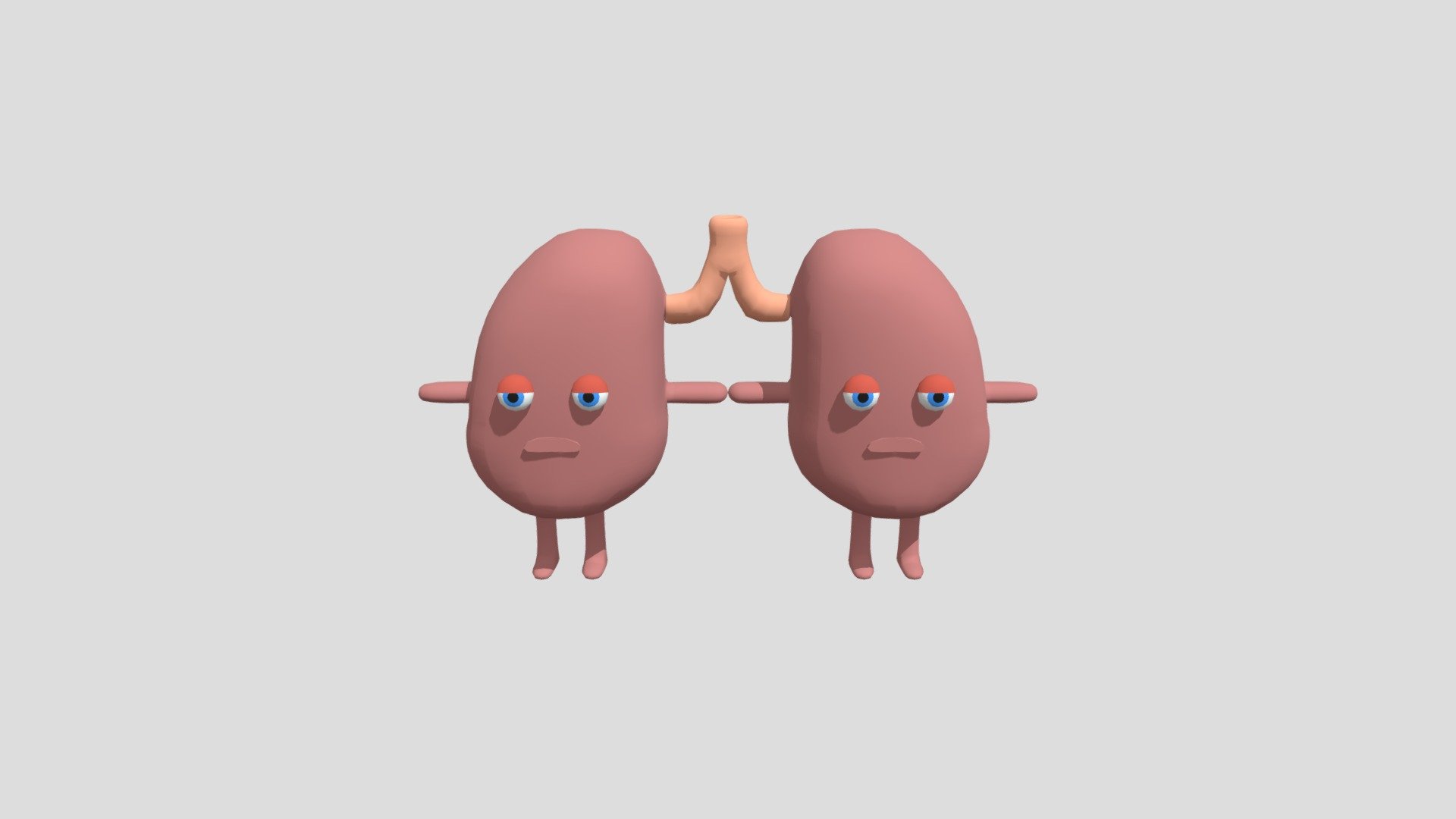 Lungs Character