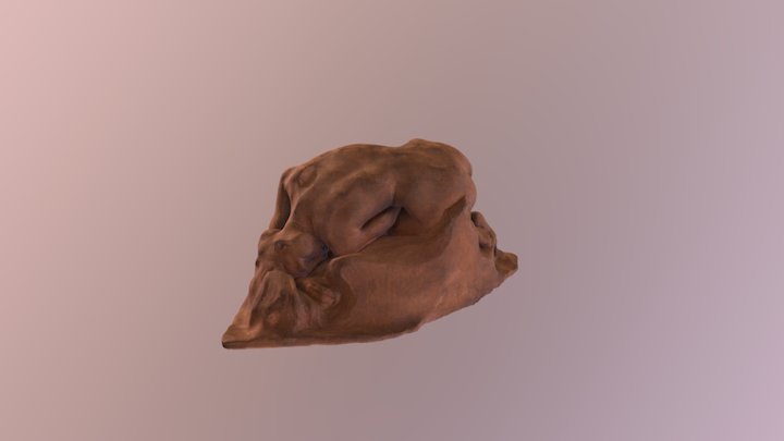 Danaïd by Auguste Rodin 3D Model