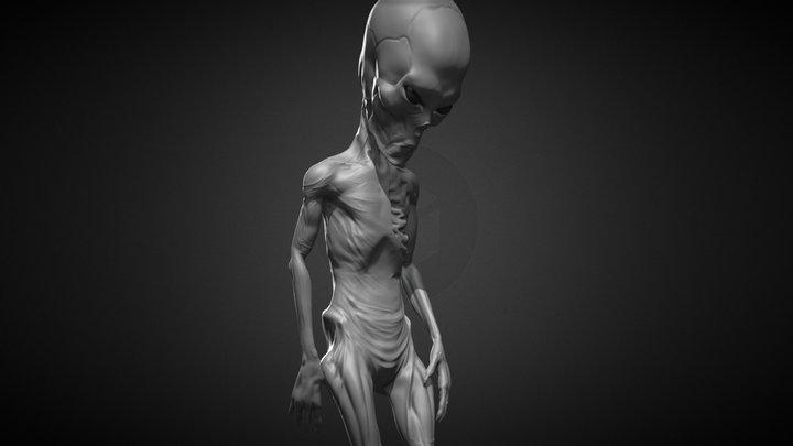 Day#19 - Object: Obscured 3D Model