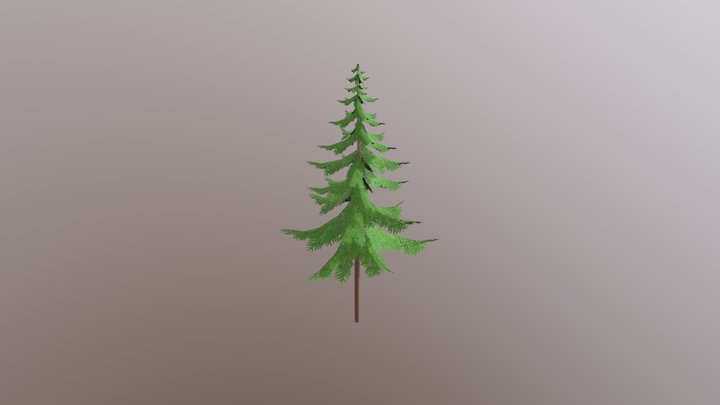 Fir Tree 3D Model