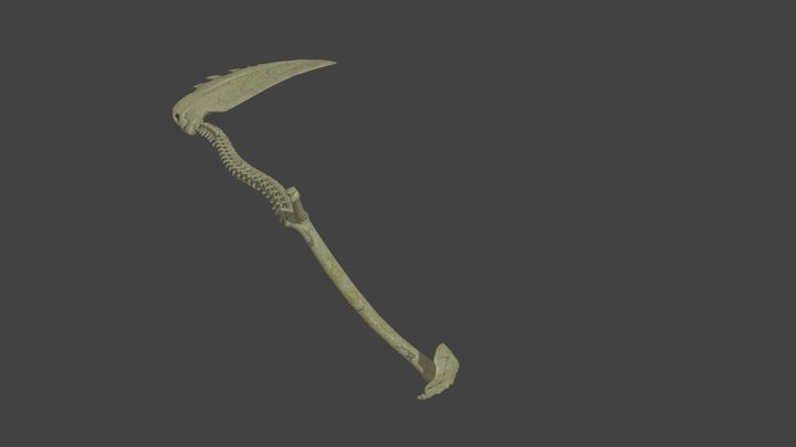 Grim Reaper Scythe 3D Model