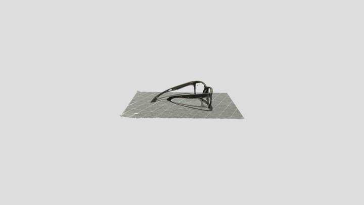 Sunglasses 3D Model