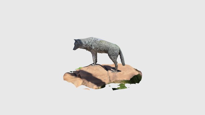 Lobo 0.0 3D Model