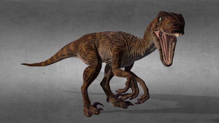 Animated Velociraptor 3D Model