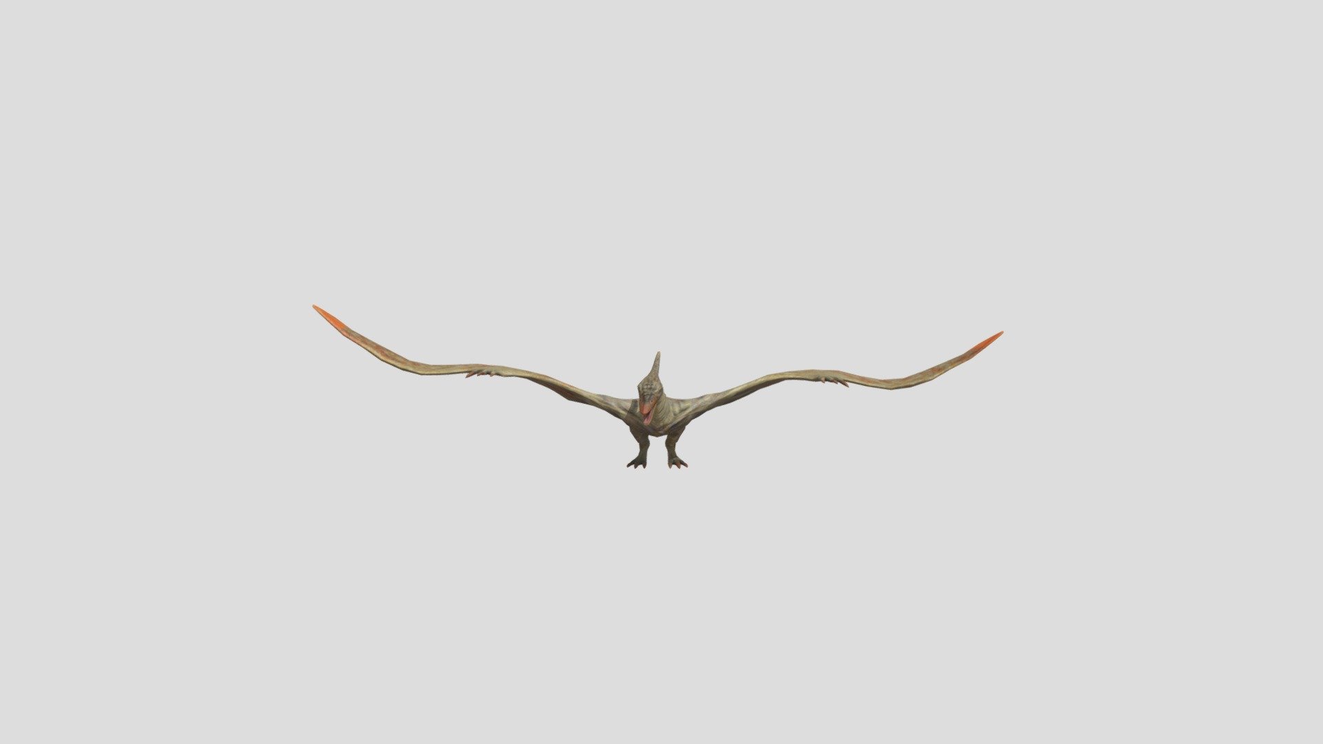 Pterodactyl - Download Free 3D model by hendrikReyneke [76d25a3 ...