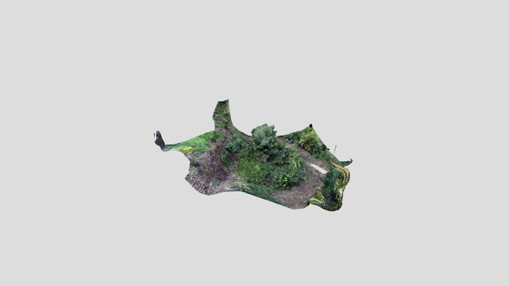 Edible garden plant scan - polycam 3D Model