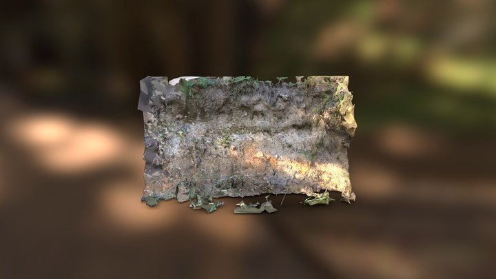 SSC-DJI- Pass01 Low (40k) 3D Model