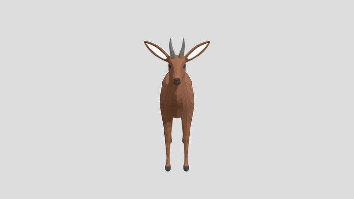 Four Horned Antelope