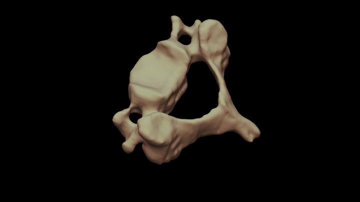 C4 (avec labels) 3D Model