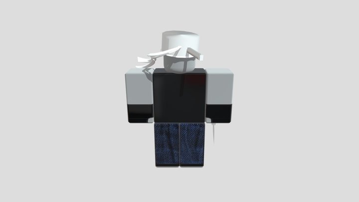 AltAccMysteryGuy 3D Model