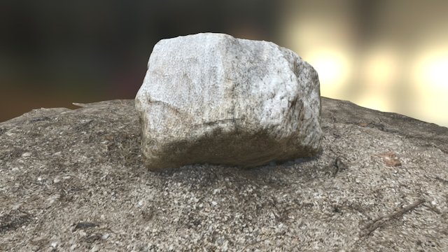A White Stone found at Sabino Canyon 3D Model