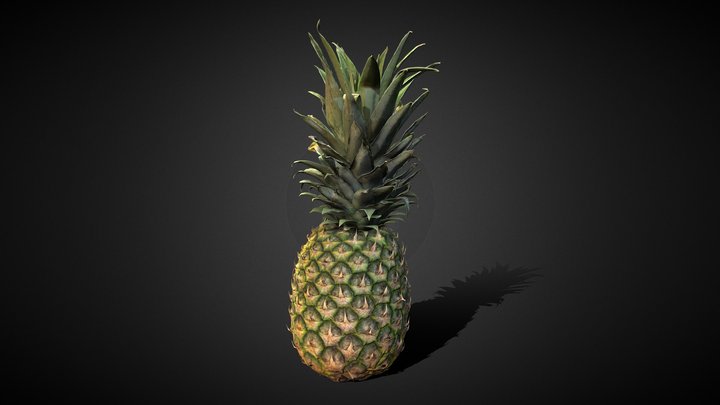 Pineapple 2.3 Million Triangles DSLR 3D Model