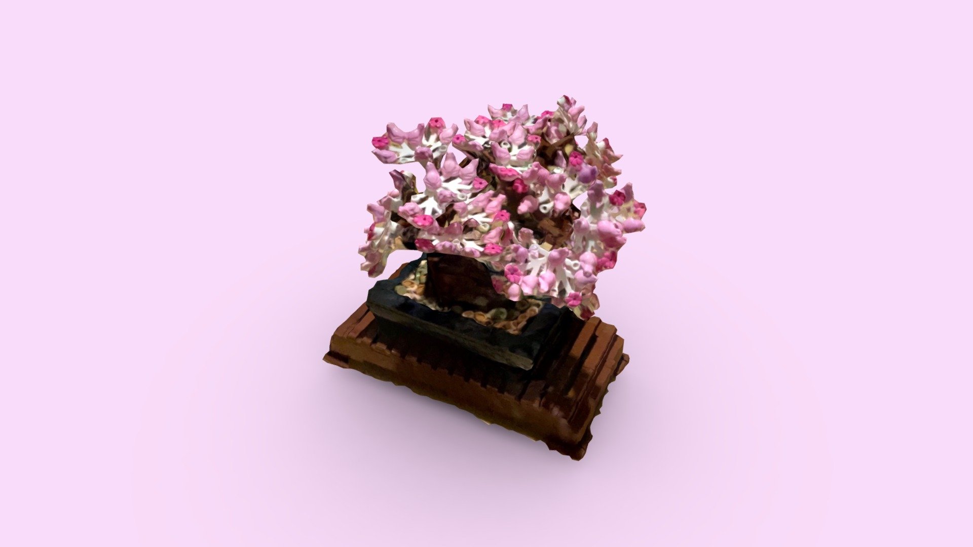 Bonsai with frogs