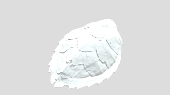 turtle 3D Model