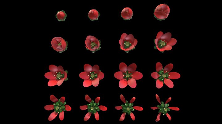 Digital_Flower_D_front_by xyzuvwopq 3D Model