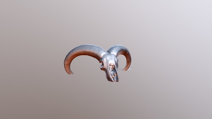 Ram Skull Raw Scan 3D Model