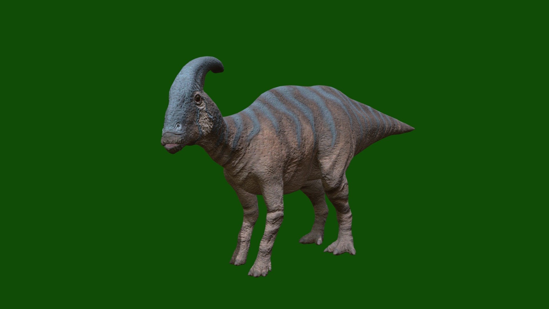 Parasaurolophus - Download Free 3D model by kenchoo [76e4a8b] - Sketchfab