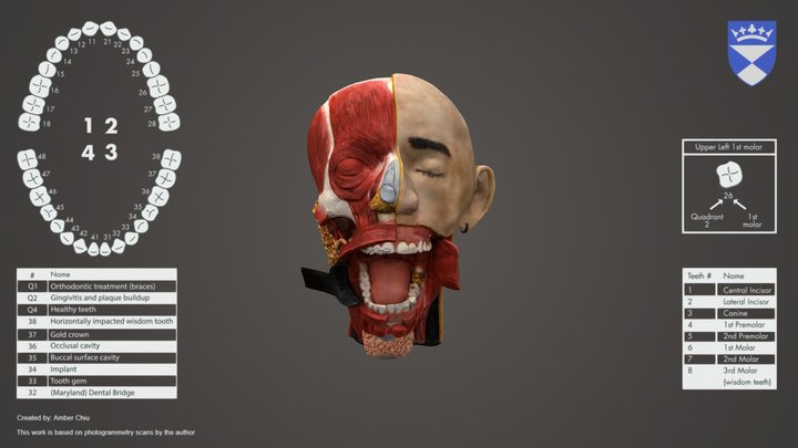Head and Neck Anatomy for Dentistry