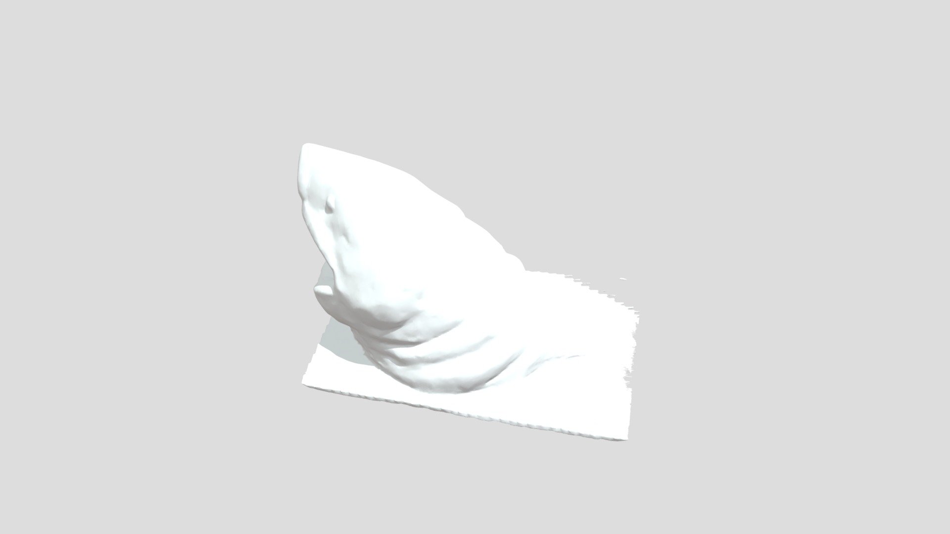 Shark