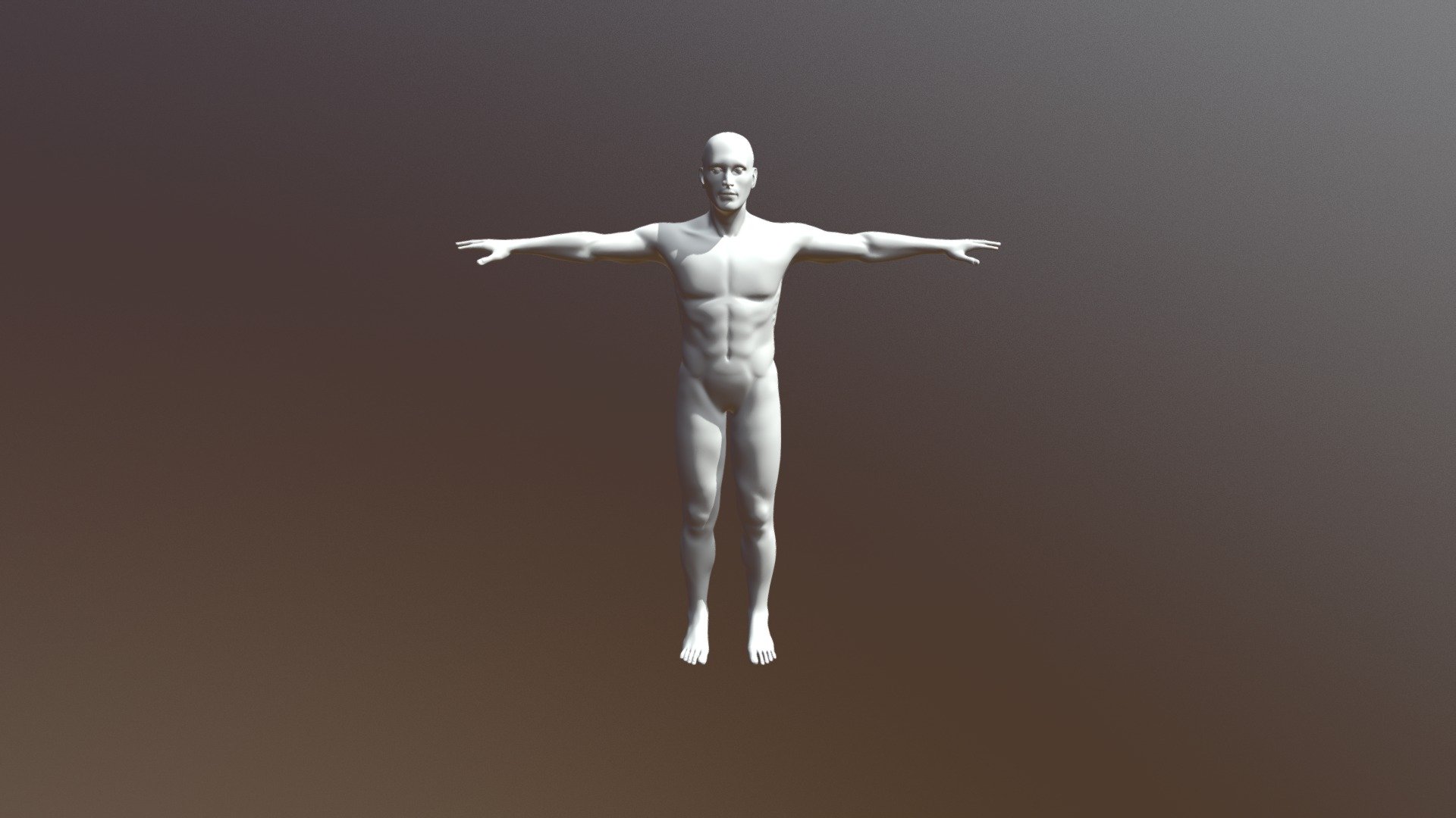 Human Figure - 3D model by Alek.Sung [76e96be] - Sketchfab