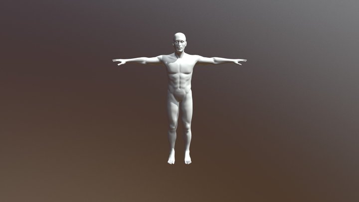 Human Figure 3D Model