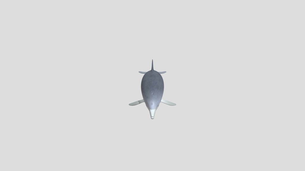 Animated Bottlenose Dolphin