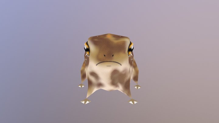 Desert Rain Frog Low Poly 3D Model