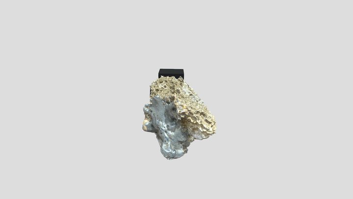 Reticulite（レティキュライト） 3D Model