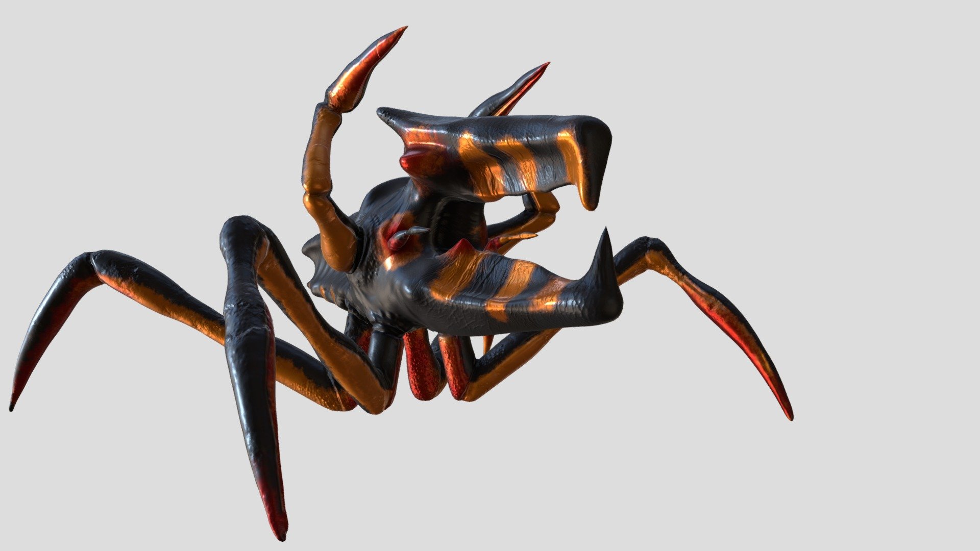 ZWarrior