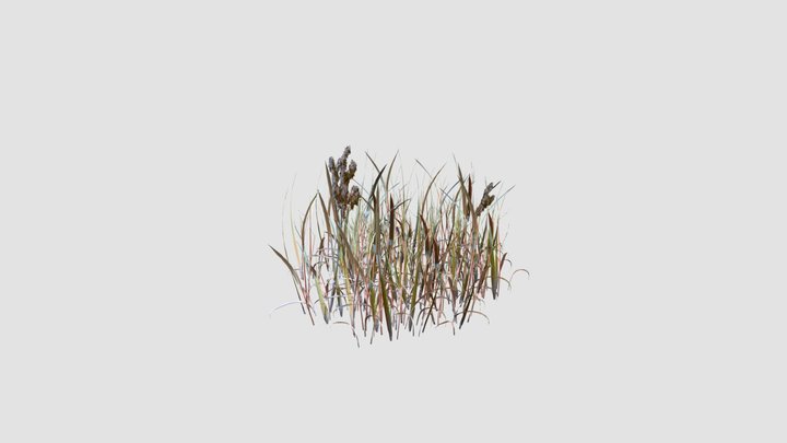 simple grass 3D Model