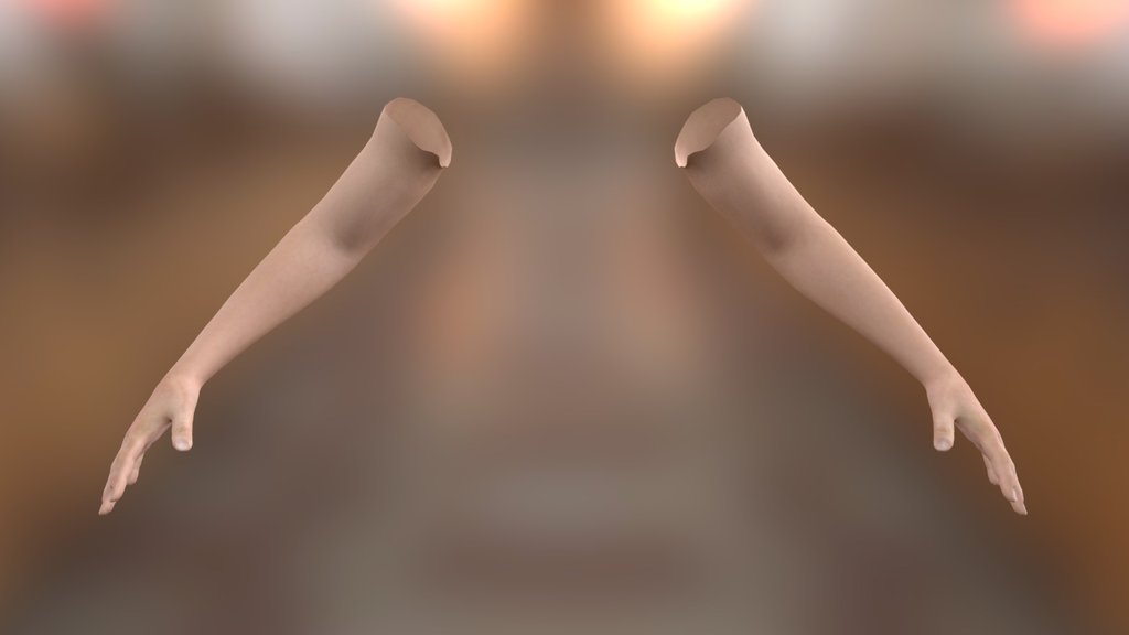 Rigged Arms