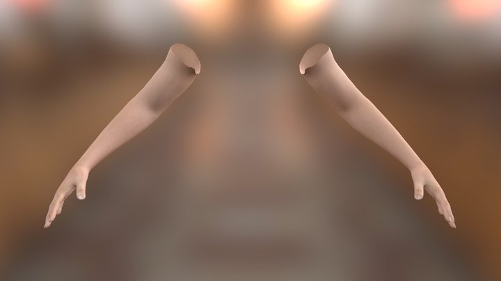 Rigged Arms 3D Model