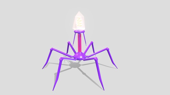 Virus Bacteriophage 3D Model