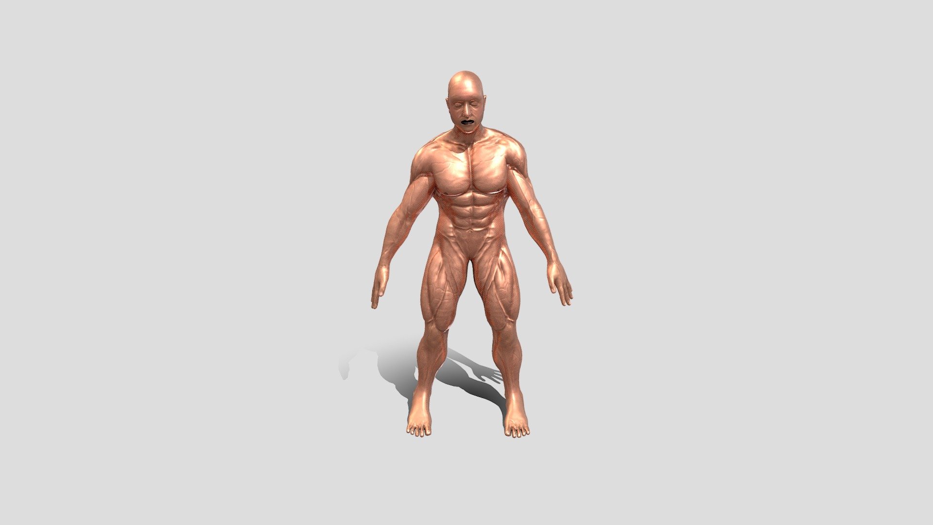 untitled - 3D model by rayanadel2006 [76fb745] - Sketchfab