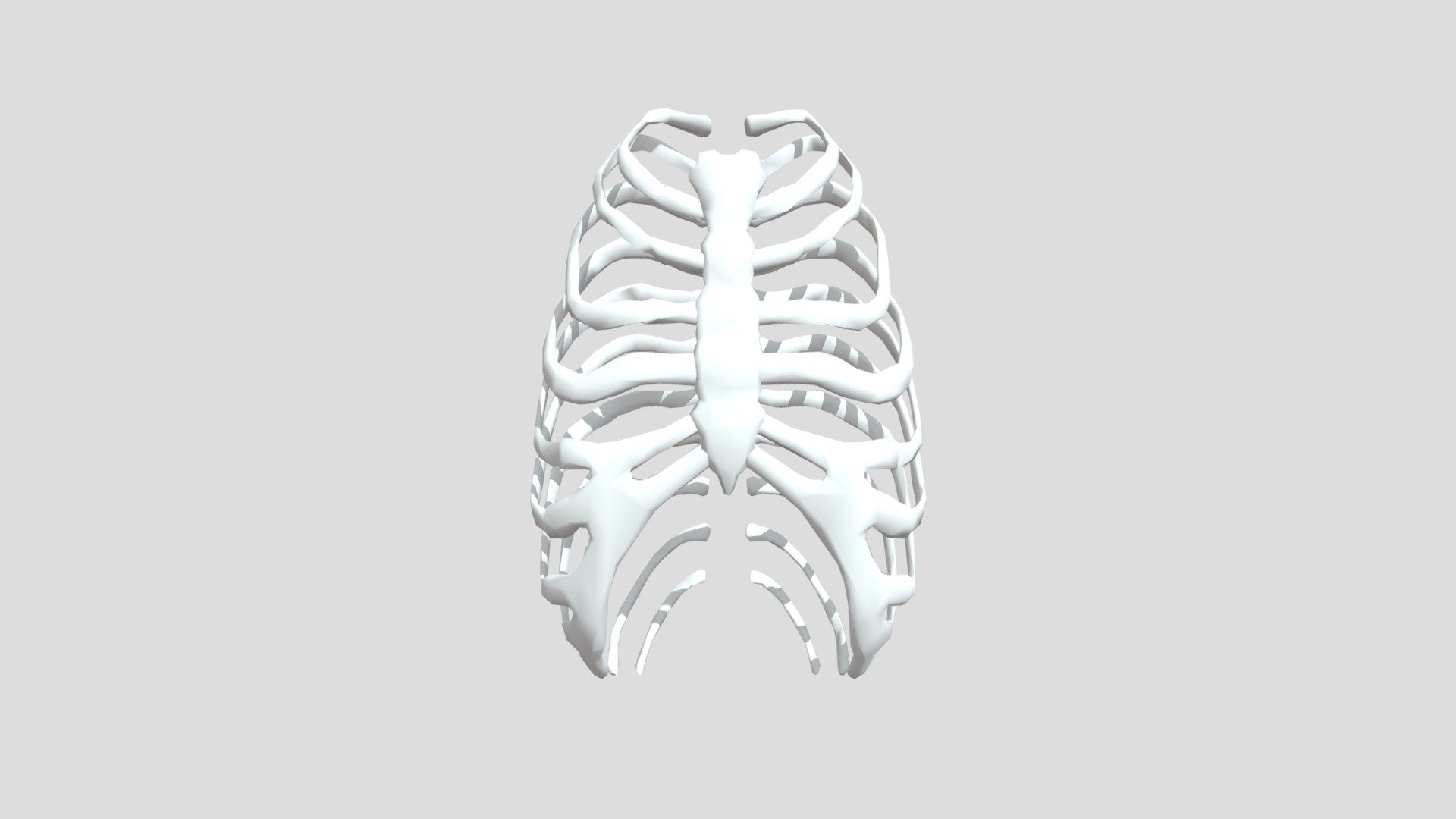 Ribs 10393 - Download Free 3D model by saravananm4594 [76fd198] - Sketchfab