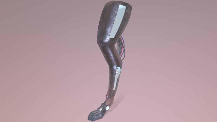 Rabbit Leg 3D Model