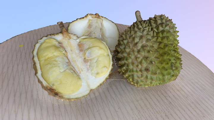 Durian, The King of Fruits 3D Model