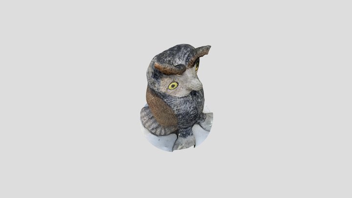 owl 3D Model